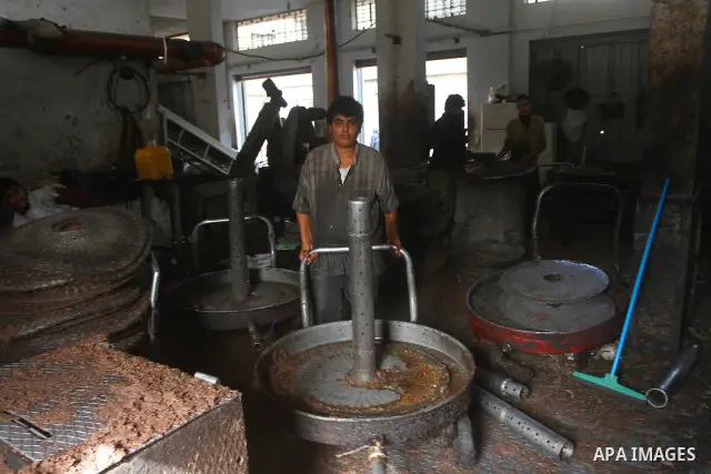 Palestinians producing olive oil in the olive oil factory in Gaza city on Nov. 13,2011 during the olive harvesting season. Agriculture is a major sector of the Palestinian economy, employing a large part Palestinians. Ag...