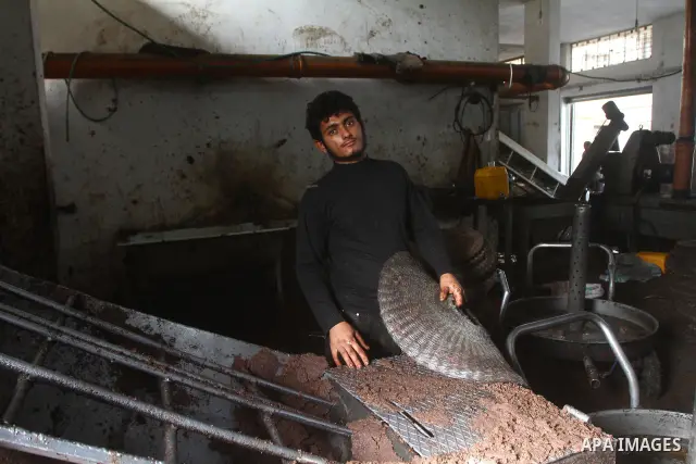 Palestinians producing olive oil in the olive oil factory in Gaza city on Nov. 13,2011 during the olive harvesting season. Agriculture is a major sector of the Palestinian economy, employing a large part Palestinians. Ag...