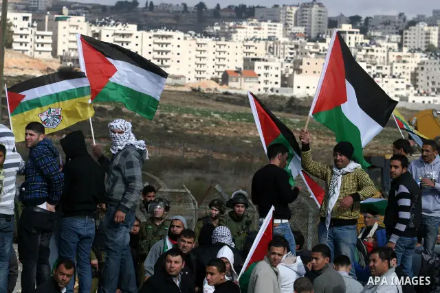 Palestinian demonstrators wave their national flag during a protest against the construction of Israel's separation barrier in the West Bank village of Qalandia, near Ramallah, on December 9, 2011. Photo by Issam Rimawi