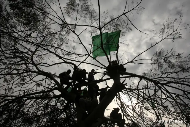 Thousands of Hamas supporters gather to celebrating marking the Islamist movement's 24nd anniversary at el-Qatiba yard in Gaza city on Dec 14, 2011. the Islamist movement of Hamas take over ruling at Gaza strip since Jun...