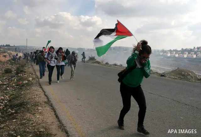Palestinian and left-wing Israeli demonstrators run from a tear gas grenade fired by Israeli security officers during clashes at a weekly protest against a nearby Jewish settlement, in the West Bank village of Nabi Saleh...