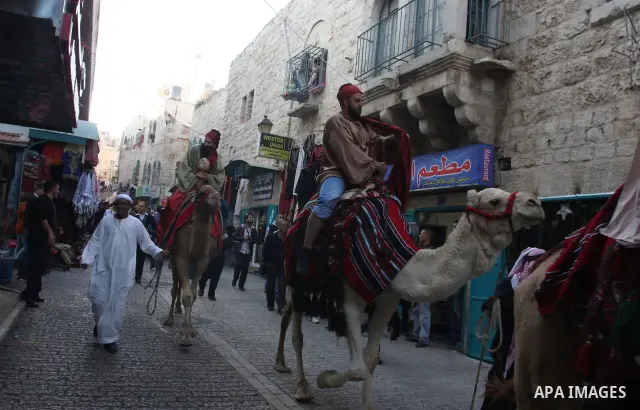 Palestinian Christian ride camels front a Christmas tree placed in Manger Square outside the Church of the Nativity in the biblical West Bank city of Bethlehem on December 22, 2011 as Christian pilgrims started gathering...