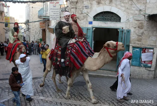 Palestinian Christian ride camels front a Christmas tree placed in Manger Square outside the Church of the Nativity in the biblical West Bank city of Bethlehem on December 22, 2011 as Christian pilgrims started gathering...