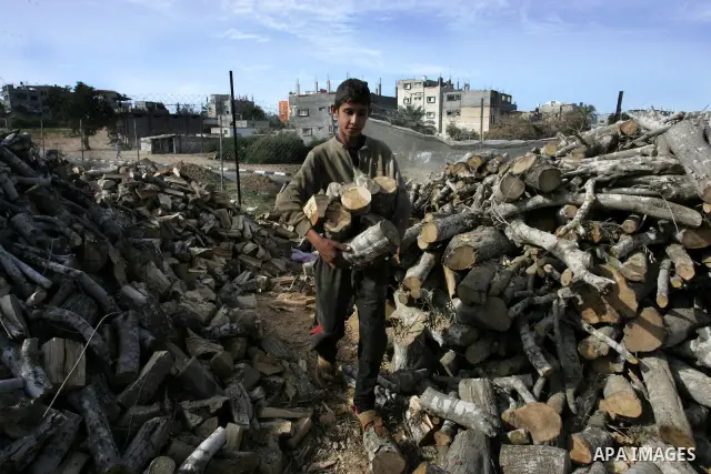 A Palestinian workers collect firewood at a yard in Khan Younis, southern Gaza Strip on January 11, 2012.Photo by Abed Rahim Khatib
