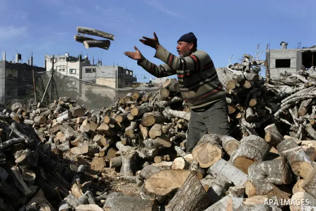 A Palestinian workers collect firewood at a yard in Khan Younis, southern Gaza Strip on January 11, 2012.Photo by Abed Rahim Khatib