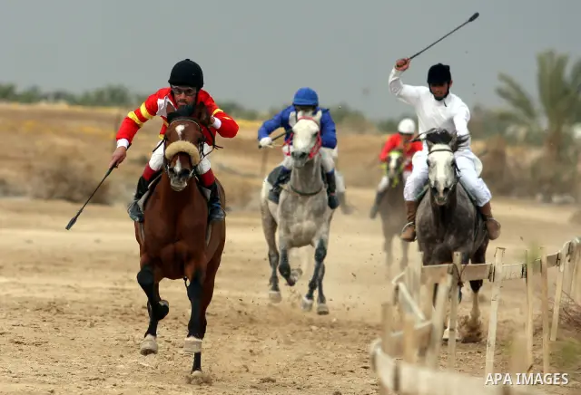Palestinian jockeys take part in a horse race at an equestrian club in the West Bank city of Jericho January 27, 2012. Photo by Issam Rimawi