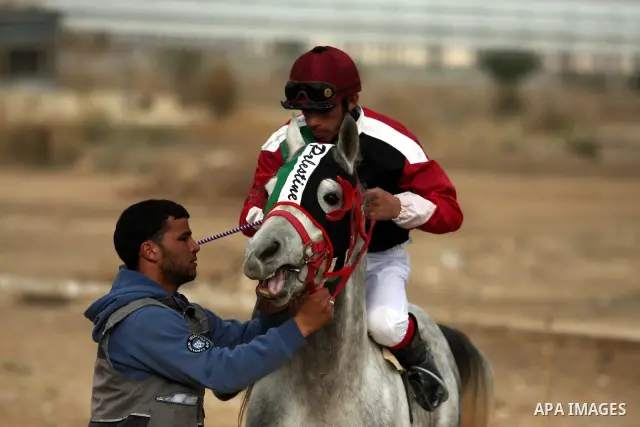 Palestinian jockeys take part in a horse race at an equestrian club in the West Bank city of Jericho January 27, 2012. Photo by Issam Rimawi