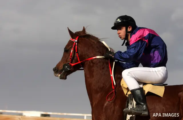 Palestinian jockeys take part in a horse race at an equestrian club in the West Bank city of Jericho January 27, 2012. Photo by Issam Rimawi
