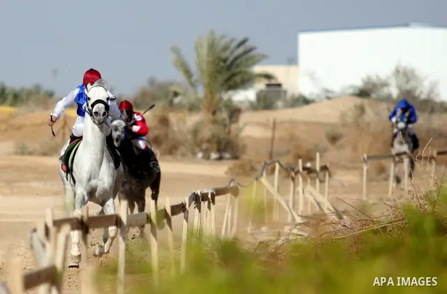 Palestinian jockeys take part in a horse race at an equestrian club in the West Bank city of Jericho January 27, 2012. Photo by Issam Rimawi