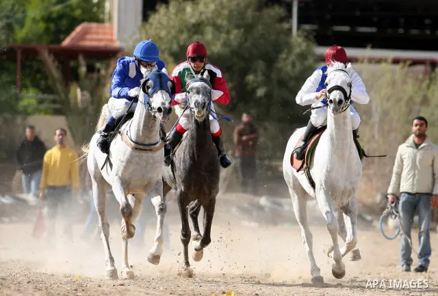 Palestinian jockeys take part in a horse race at an equestrian club in the West Bank city of Jericho January 27, 2012. Photo by Issam Rimawi