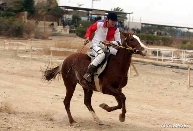 Palestinian jockeys take part in a horse race at an equestrian club in the West Bank city of Jericho January 27, 2012. Photo by Issam Rimawi