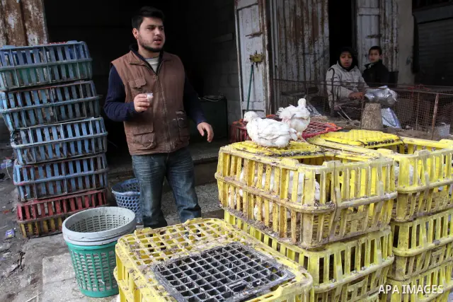 Palestinians refrain from buying chicken because of the expensive prices in the chicken shops, during the cold winter weather in Gaza City on Jan. 31, 2012. Photo by Mohammed Asad