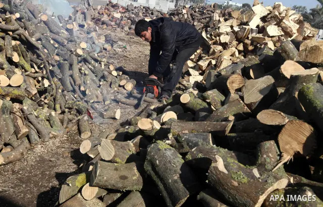 A Palestinian youth cuts firewood to sell to customers near the central Gaza Strip town of Deir al-Balah on January 31, 2012 as locals struggle against low winter temperatures amid daily power cuts and high fuel prices....