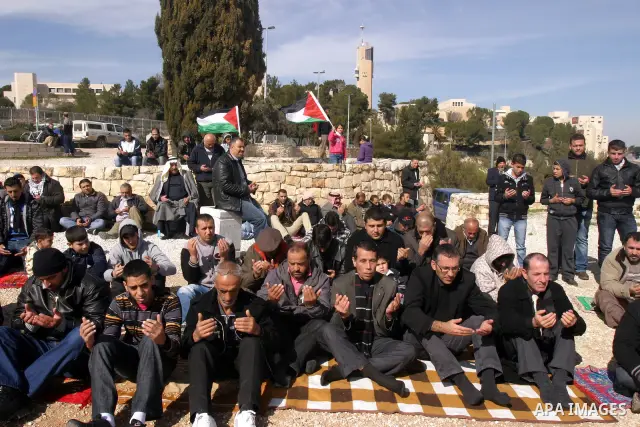 Palestinian demonstrators pray in the East Jerusalem neighbourhood of Issawiya and grow an olives trees on february 3, 2012. in protest against a decision by the Jerusalem municipality and Israel's Nature and Parks Autho...