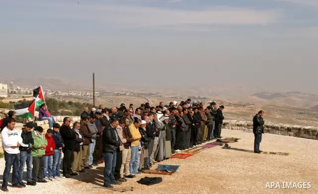 Palestinian demonstrators pray in the East Jerusalem neighbourhood of Issawiya and grow an olives trees on february 3, 2012. in protest against a decision by the Jerusalem municipality and Israel's Nature and Parks Autho...