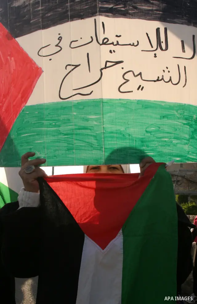 Palestinian, foreign and Israeli left-wing activists participate in a demonstration in the east Jerusalem neighborhood of Sheikh Jarrah, Friday, Feb. 03, 2012. The protest was organized by groups supporting Palestinians...