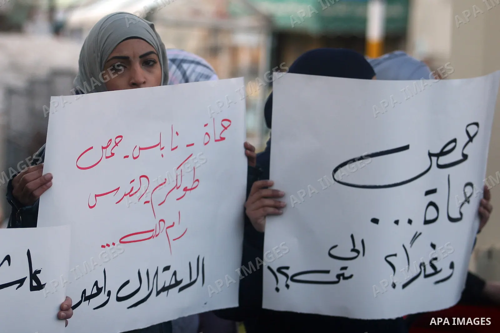 Palestinians hold Syrian flags and signs as they join a demonstration in the West Bank city of Ramallah on Feb 05, 2012. Photo by Issam Rimawi