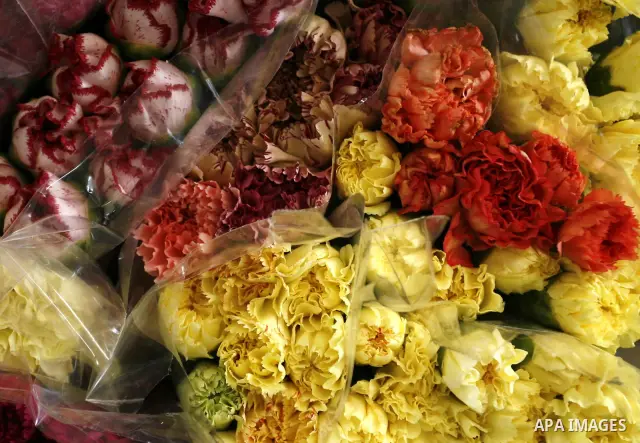 Carnation bouquets ready for export are pictured at a flower farm in Rafah in the southern Gaza Strip on February 8, 2012 after Israel granted special approval for exporting limited quantities of Palestinian flowers from...