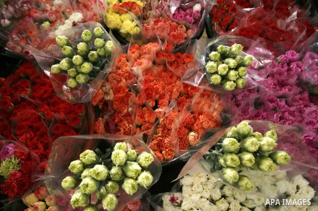 Carnation bouquets ready for export are pictured at a flower farm in Rafah in the southern Gaza Strip on February 8, 2012 after Israel granted special approval for exporting limited quantities of Palestinian flowers from...
