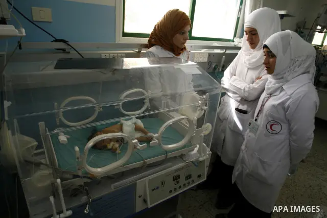 Premature babies receive treatment in the Nasser hospital in Khan Younis, southern Gaza Strip on February 15, 2012 as the hospital suffer from running out of fuel. Palestinian Ministry of Health in Gaza, calls for the Ar...