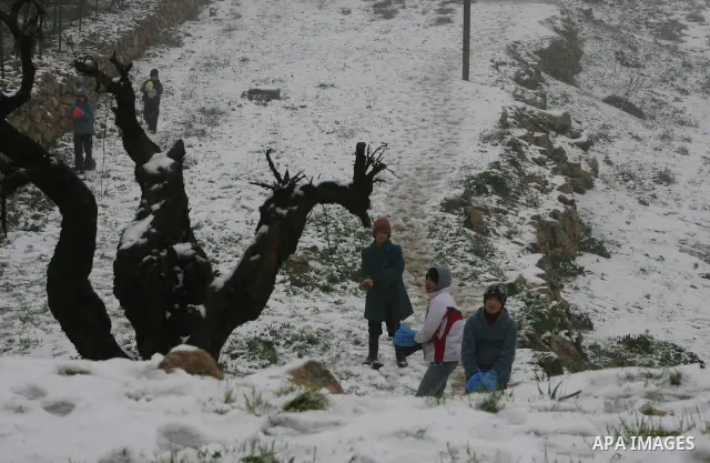 Palestinians play with snow in the West Bank city of Hebron on February 18, 2012. Photo by Mamoun Wazwaz