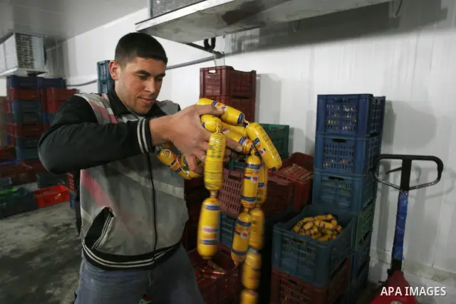 Palestinian workers employed in the warehouses of refrigerators for goods in Nusseirat refugee camp in central Gaza Strip on March 5, 2012. While the owners of freezers traders suffer from power cuts and lack of diesel f...