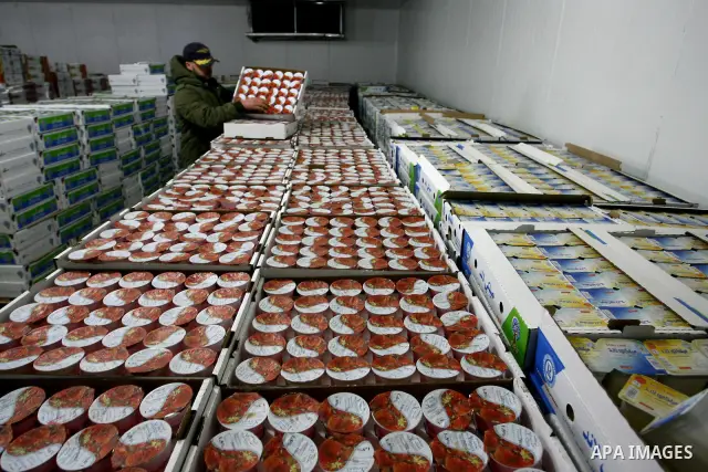 Palestinian workers employed in the warehouses of refrigerators for goods in Nusseirat refugee camp in central Gaza Strip on March 5, 2012. While the owners of freezers traders suffer from power cuts and lack of diesel f...