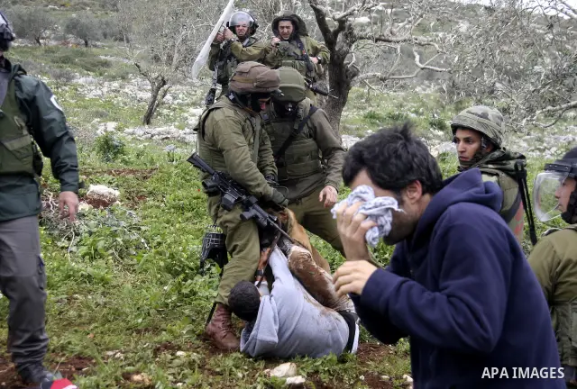 An Israeli army dog attacks a Palestinian protester during a demonstration against the expropriation of Palestinian land by Israel in the village of Kafr Qaddum, near Nablus in the occupied West Bank, on March 16, 2012....