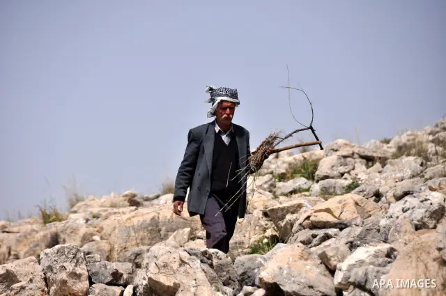 Palestinian shephered Abu Jaafar collect a wood in Biet Leed village near the west bank city of Tulkarem, 20 March 2012. Photo by Nedal Eshtayah