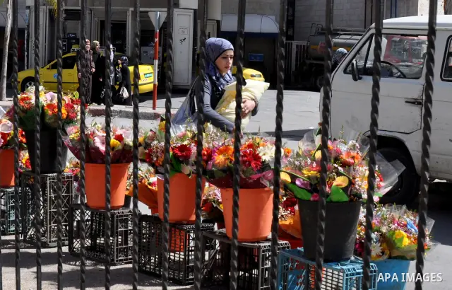 Palestinians buy flowers for ''Mother's Day'' in the West Bank city of Nablus, Mar. 21, 2012. Photo by Nedal Shtieh
