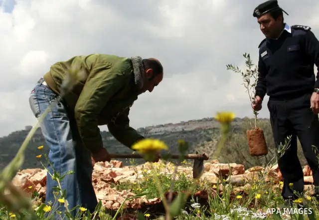 Palestinian security officers plant trees during an event marking Land Day ,in the village of Kufr Diek , West Bank, Thursday , March 29, 2011. Land Day commemorates the killing of six Arab citizens of Israel by the Isra...