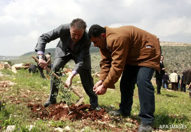 Palestinians plant trees during an event marking Land Day ,in the village of Kufr Diek , West Bank, Thursday , March 29, 2011. Land Day commemorates the killing of six Arab citizens of Israel by the Israelis on March 30,...