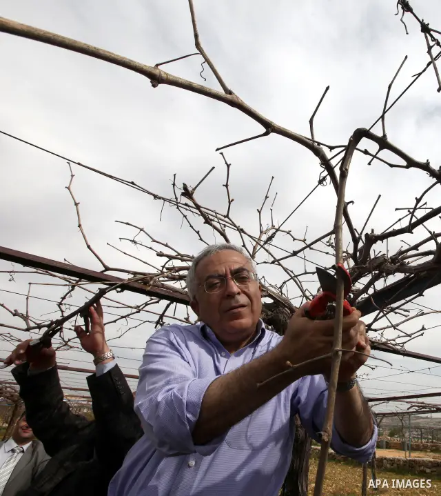 Palestinian Prime Minister, Salam Fayyad, participates during the cultivation of olive trees on the occasion of "Land Day", in the West Bank city of Bethlehem, on Mar. 31, 2012. Photo by Mustafa Abu Dayah