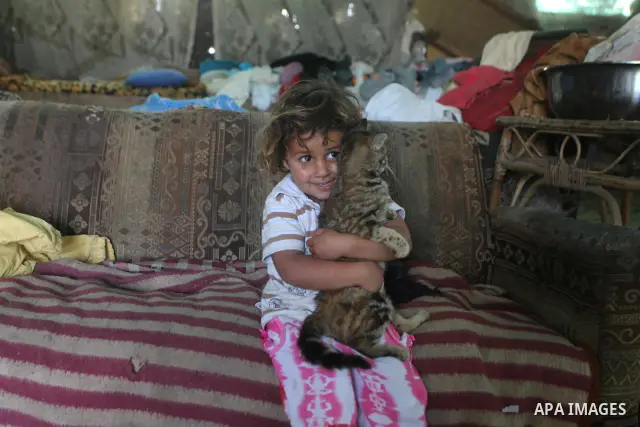 A Palestinian girl hold her cat inside her family house in a poor region of the Al-Nusirat neighborhood, central Gaza Strip on 08 April 2012. Reports from the World Bank on 06 April 2012 state that The World Banks Board...