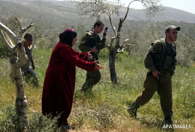 A Palestinian woman, reacts next to the damaged olive trees in her orchard in Beit ilu village, west of Ramallah, on April 16, 2012 that is believed to have been destroyed in a "price tag" attack by settlers from Nhaliel...