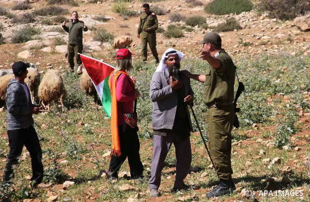 Israeli Jewish settlers look on as Israeli soldiers move Palestinian farmers and shepherds off their land to allow the settlers to farm the land near the Maaon Jewish settlement, just south of the Palestinian village of...