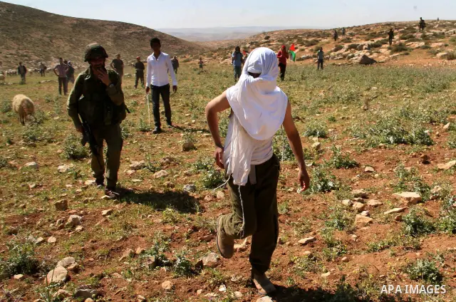 Israeli Jewish settlers look on as Israeli soldiers move Palestinian farmers and shepherds off their land to allow the settlers to farm the land near the Maaon Jewish settlement, just south of the Palestinian village of...
