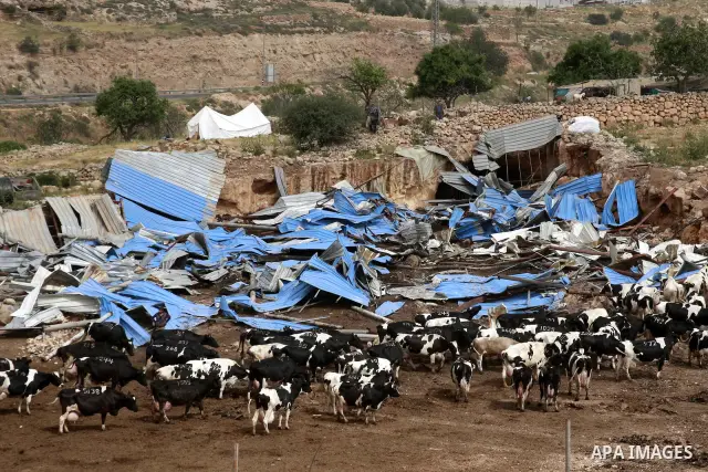 Israeli soldiers destroy a Palestinian farm to cows in the West Bank city of Hebron, May. 01, 2012. Reports state that tensions rose as Palestinian homes were destroyed by Israeli authorities for allegedly not having a b...