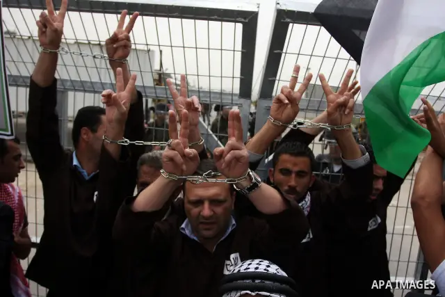 Palestinian protesters gesture with their hands chained during a protest outside Ofer prison near the West Bank city of Ramallah May 1, 2012, in solidarity with hunger striking Palestinian prisoners. The hunger strike ag...