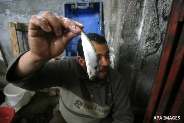 A Palestinian man sells the fish on the market in Rafah refugee camp in the southern Gaza Strip on May 03, 2011. Photo by Eyad Al Baba