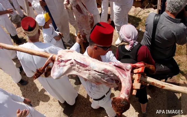 Members of the ancient Samaritan community carry a sheep to the slaughter during the traditional Passover sacrifice in Mount Gerizim, in the northern West Bank city of Nablus, 04 May 2012. According to tradition, the Sam...