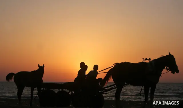 Palestinian boys drive a horse cart along the beach in Gaza City 06 May 2012. Photo by Ali Jadallah