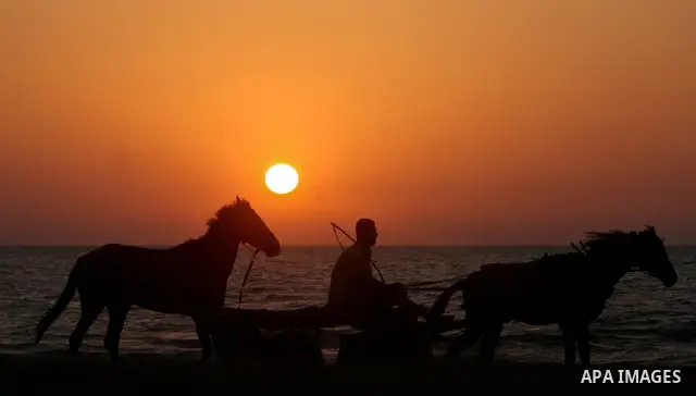 A Palestinian man drives a horse cart along the beach in Gaza City 06 May 2012. Photo by Ali Jadallah