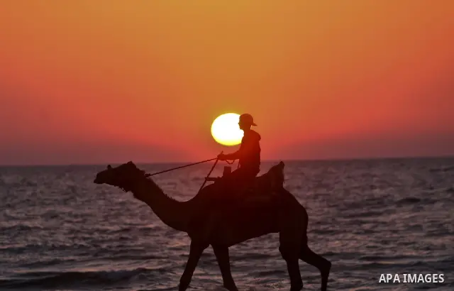 Palestinian boy ride a camel along the beach in the west of Gaza City 06 May 2012. Photo by Ali Jadallah