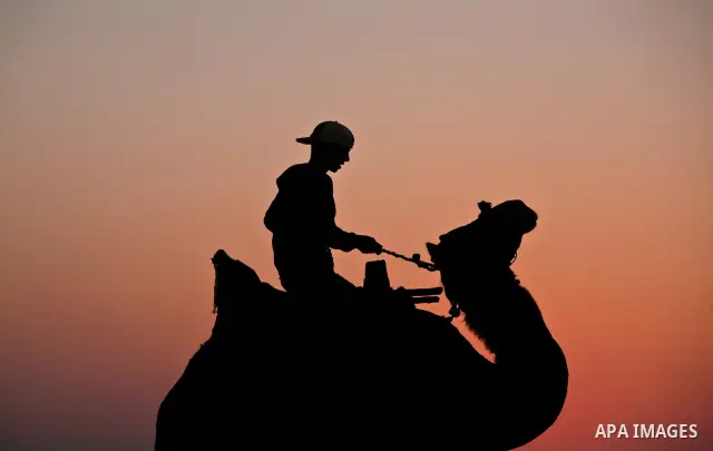 Palestinian boy ride a camel along the beach in the west of Gaza City 06 May 2012. Photo by Ali Jadallah