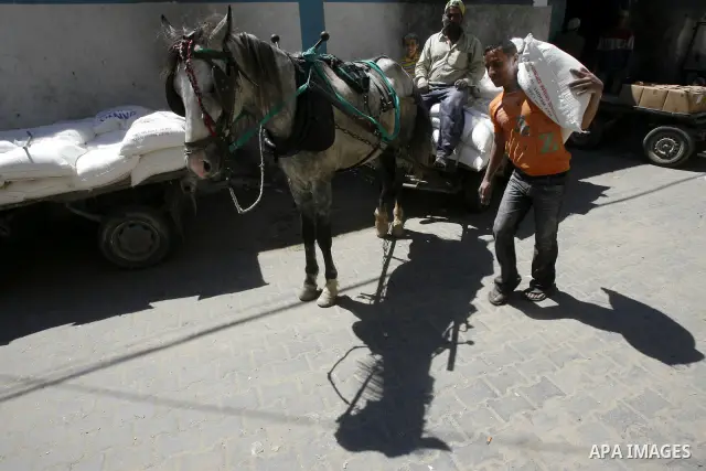Palestinians receive monthly food aid from the United Nations Relief and Works Agency (UNRWA) center in the Rafah refugee camp, southern Gaza on May 07, 2012. The UN Agency for Palestinian Refugees (UNRWA) in Gaza launch...