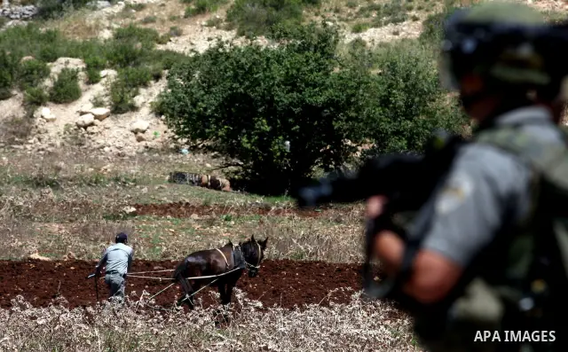 An Israeli soldier fires tear gas grenade to Palestinian protesters during a protest outside Ofer prison near the West Bank city of Ramallah, on May 7, 2012. The Palestinian National Authority (PNA) on Monday welcomed th...