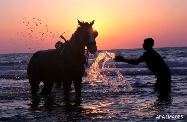 Palestinians enjoy a day on the beach of Khan Yunis, south of the Gaza Strip, on May 12, 2012. Photo by Ashraf Amra