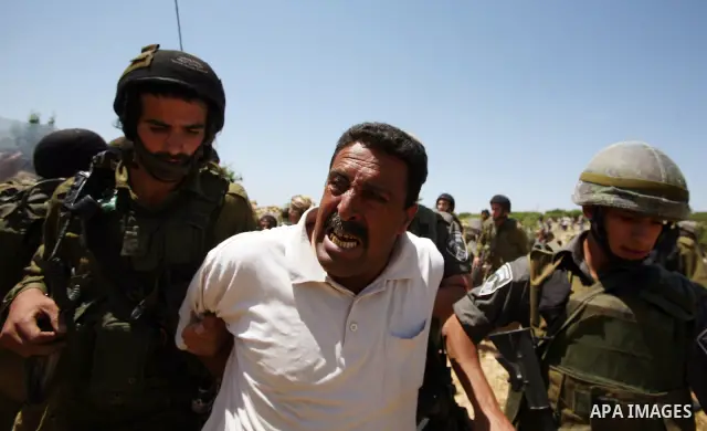 Israeli soldiers detain a protester during a demonstration ahead of "Nakba Day" in Beit Omar village, north of the West Bank town of Hebron, on May 12, 2012 where Israeli soldiers tried to evacuate demonstrators by force...