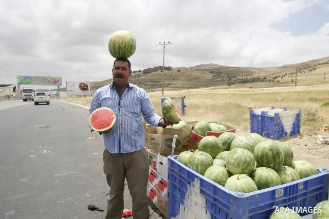 A Palestinian fruit vendors balance watermelons on their head as they try to attract customers in the West Bank town of Nablus near Hawara checkpoint, on May 22, 2012. Photo by Wagdi Eshtayah